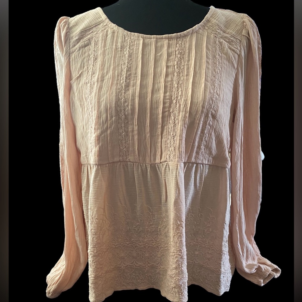 American Eagle Embroidered Blush Babydoll Blouse